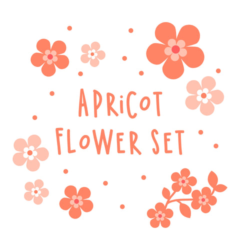 Apricot Flower Set Body Spray