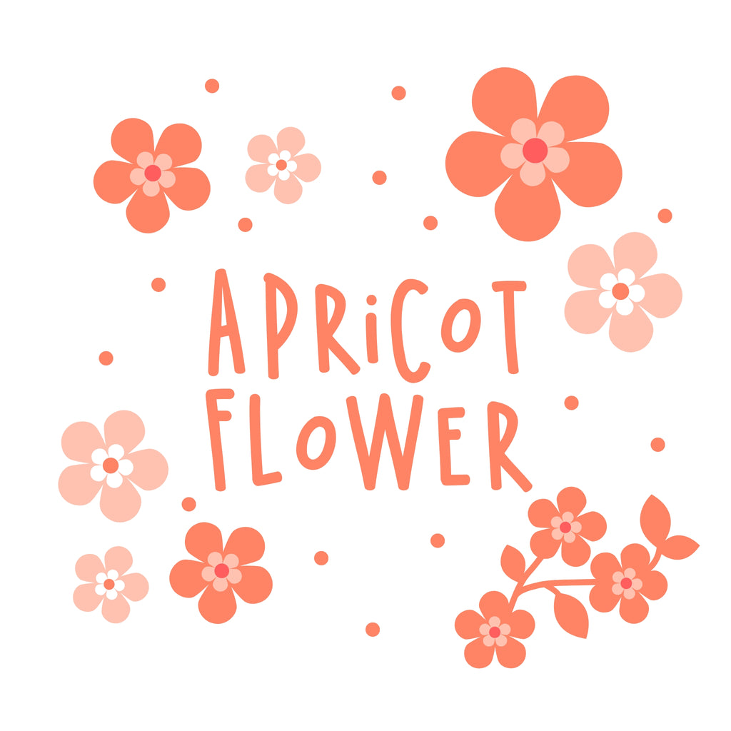 Apricot Flower Duschschaum