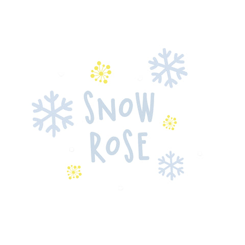 Snow Rose - bilou